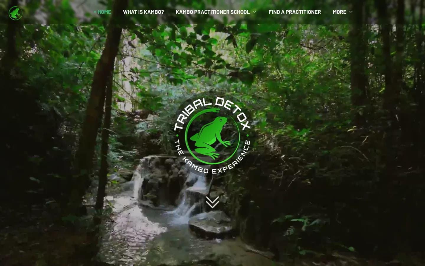 Tribal Detox homepage